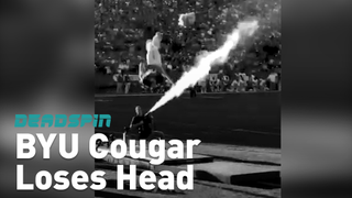 Cosmo The Cougar's Head Goes Flying